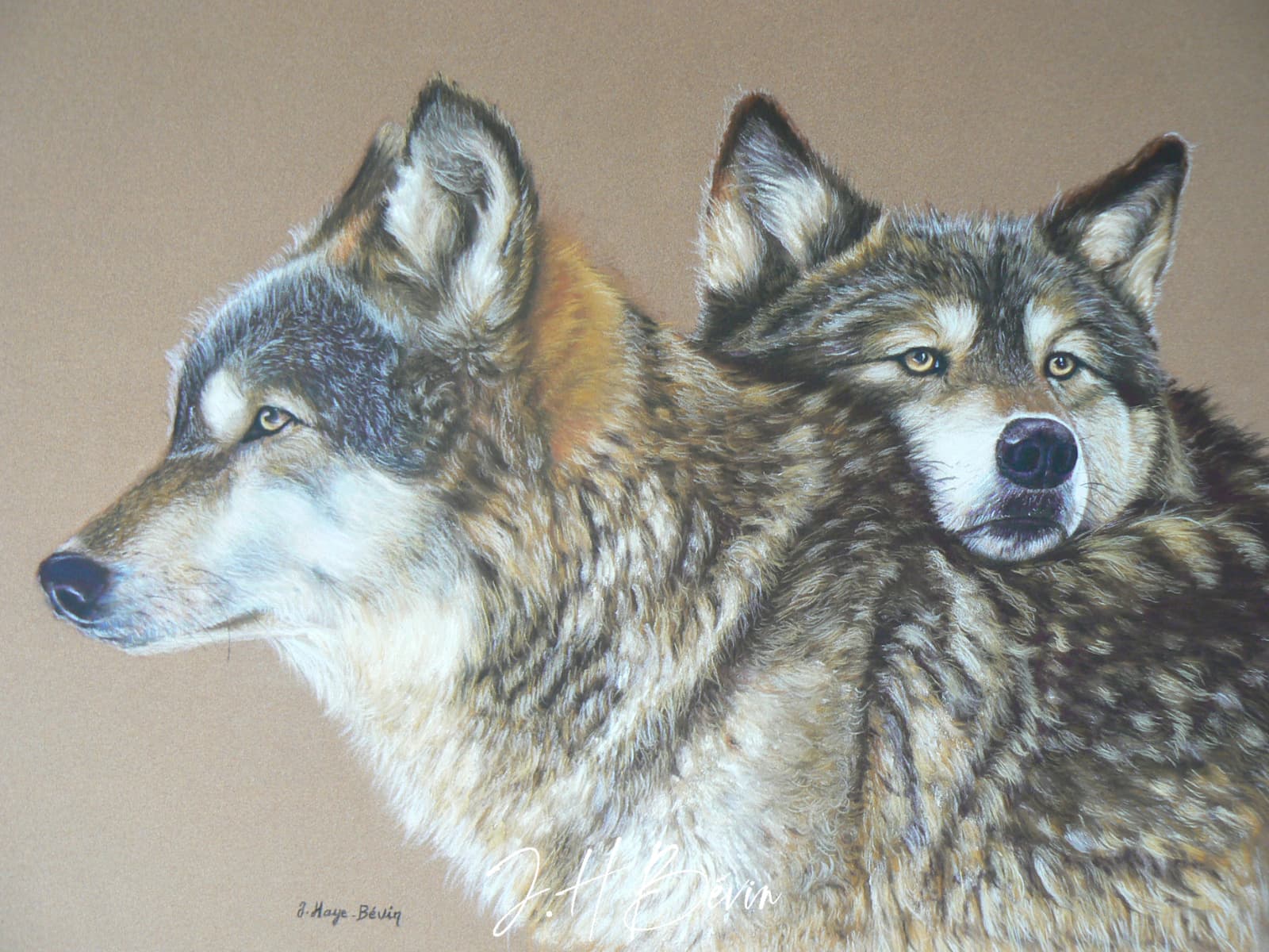 Peinture_les deux loups-J-H-Bevin